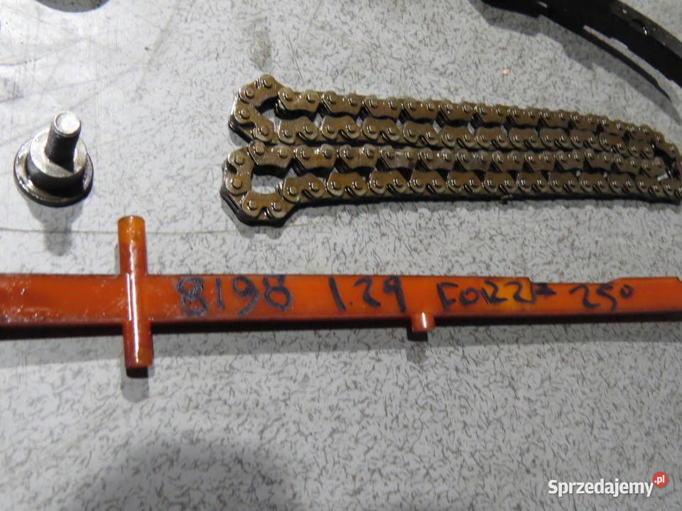 HONDA FORZA 250 NSS 2008 ROZRZAD ŁAŃCUCH Toruń