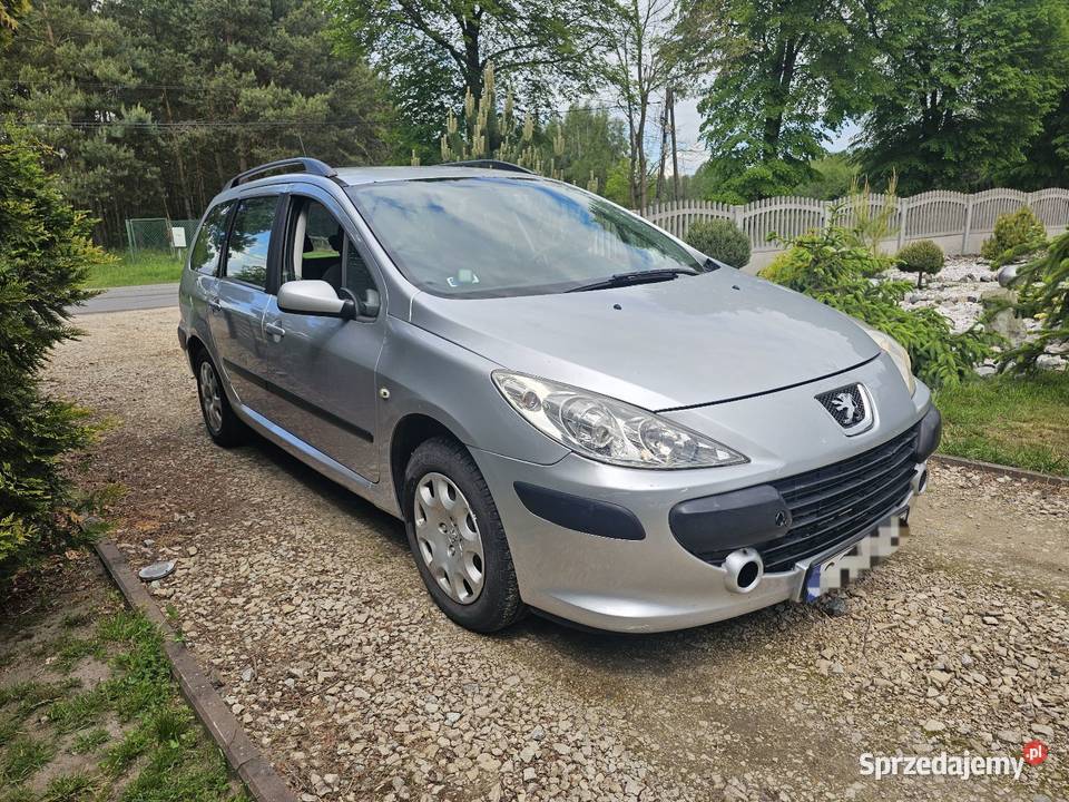 Peugeot 307 16 hdi Chotynin