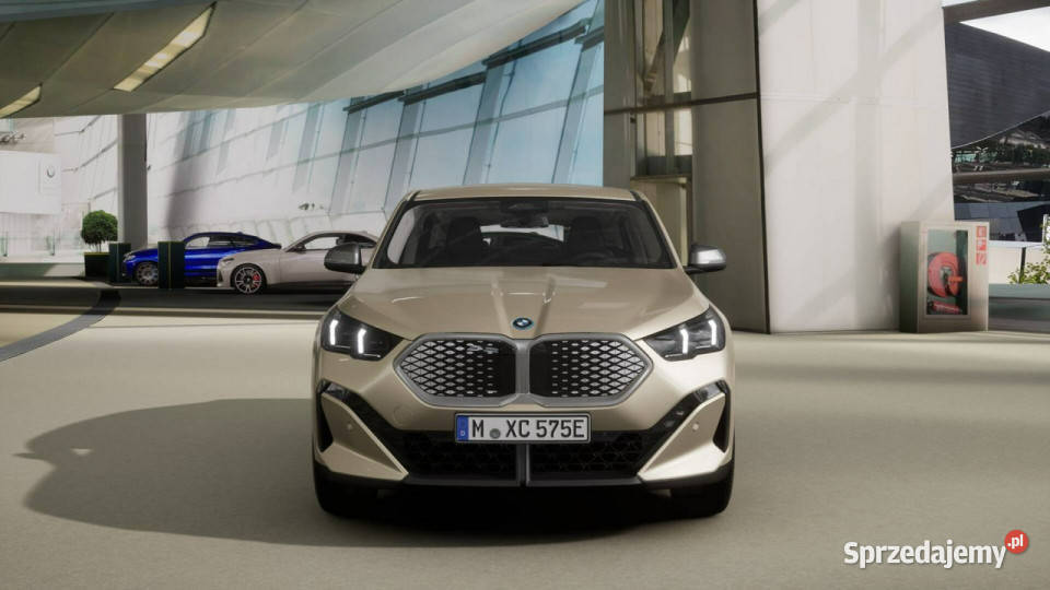 BMW iX2 iX2 eDrive20 Dostępne ręki wspomaganie kierownicy Łódź