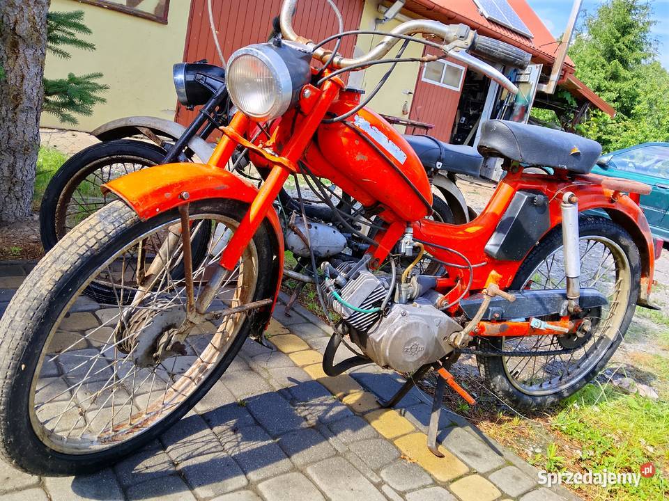 Komar Rok produkcji 1900 Ropczyce