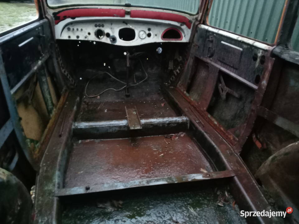 Adler junior Kraków