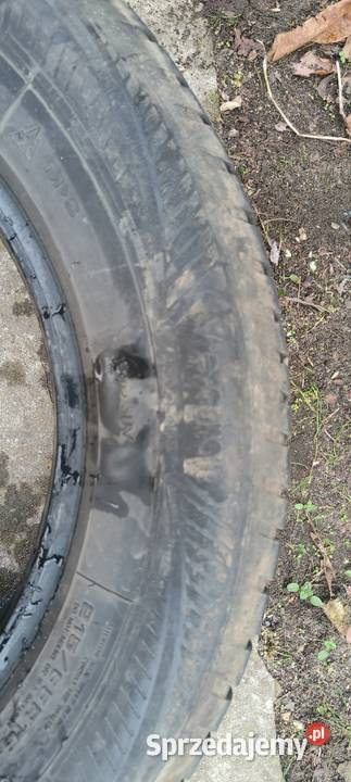 2x 2156516 opony całoroczne Goodyear Vector 2022 215 Pruszków