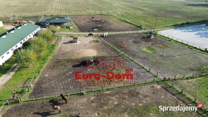 Renomowana stajnia na sprzedaż Pruszków sprzedam
