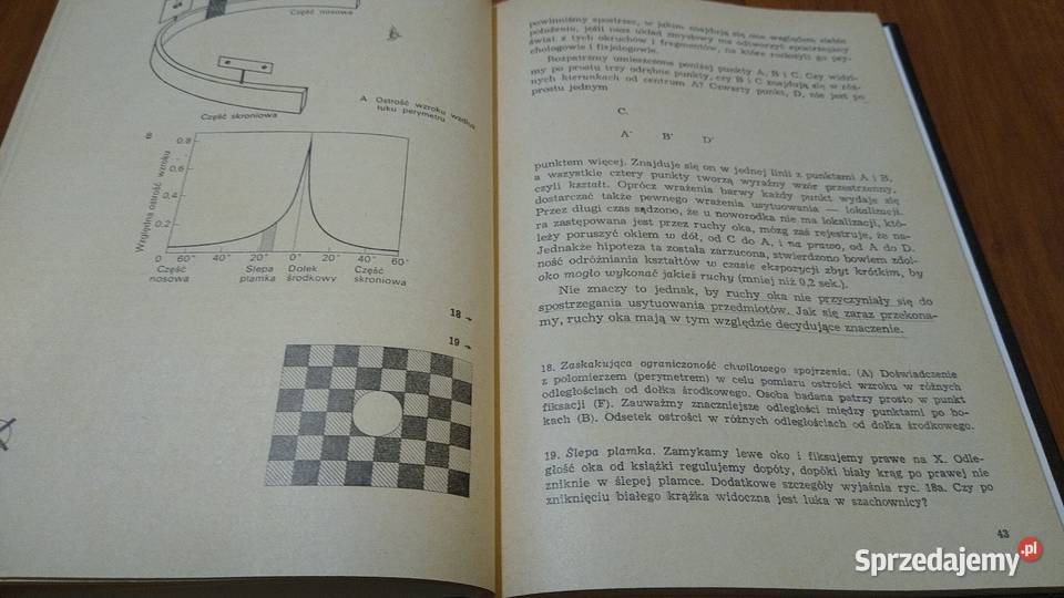 Percepcja Julian E Hochberg 1970 TWARDA Gdańsk