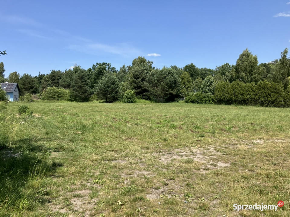 Urokliwa działka Żółwin Południowa sprzedam