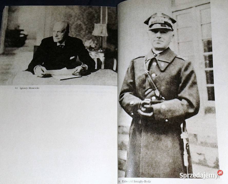 Polityka zagraniczna II Rzeczypospolitej Chełm sprzedam