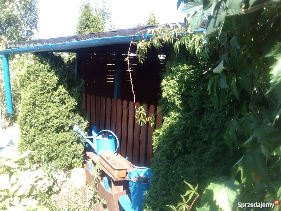 Sprzedam działkę rekreacyjną ROD Wiarus prąd kujawsko-pomorskie Toruń