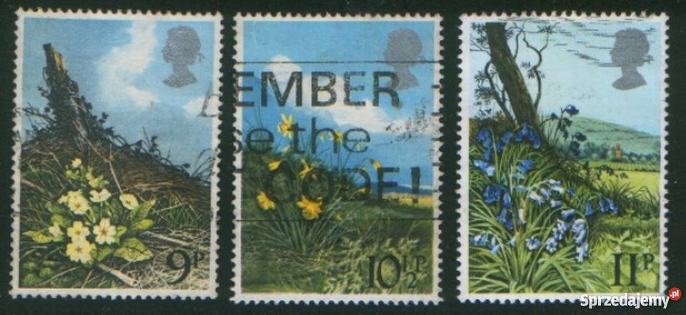 Zn Anglia Mi 785 7 kas 1979 śląskie Gliwice