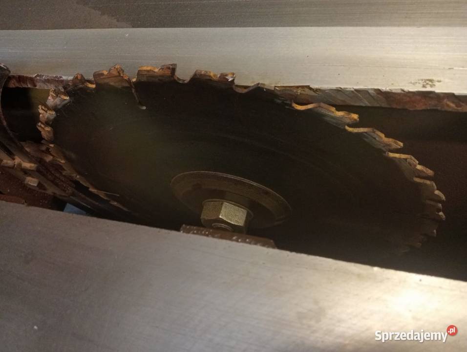 Piła formatowa Kole Wejherowo