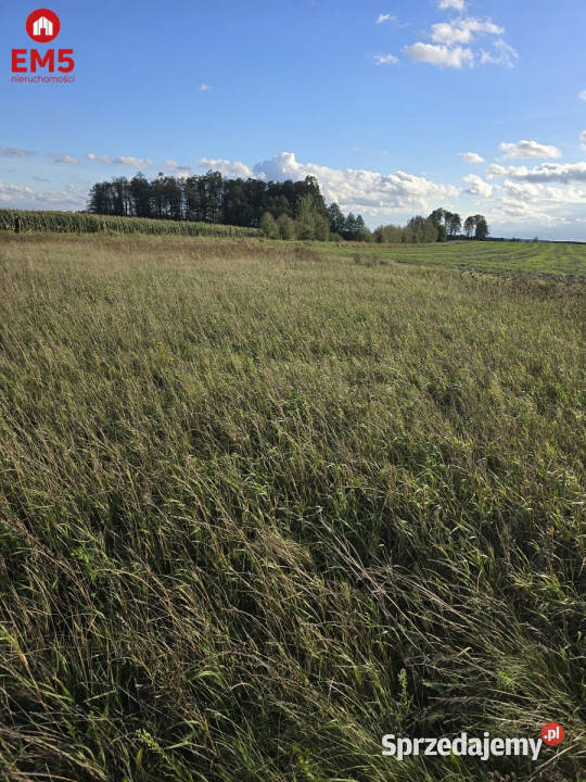 Grunt 1700m2 Pajewo woda Sprzedaż