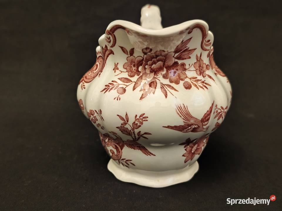 Mlecznik angielski Ridgway Windsor Chełm