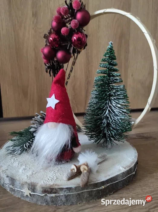 Stroik skrzat na nartach Oleśnica