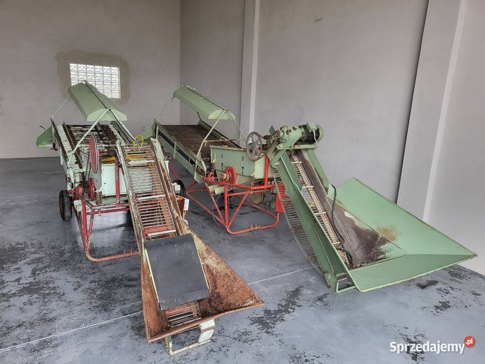 Sortownik do ziemniaków Góra Kalwaria