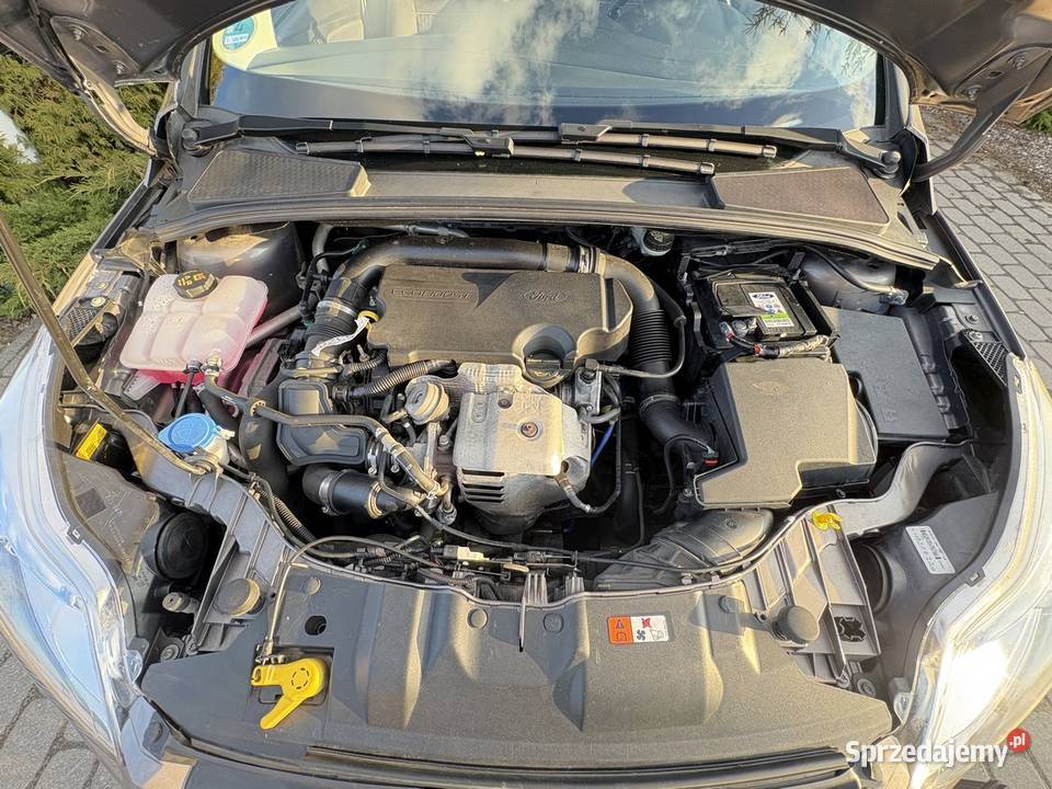 FORD FOCUS Dolna Grupa