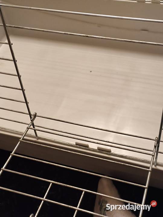 Klatka morskiej świnki albo królika w stanie mazowieckie Warszawa