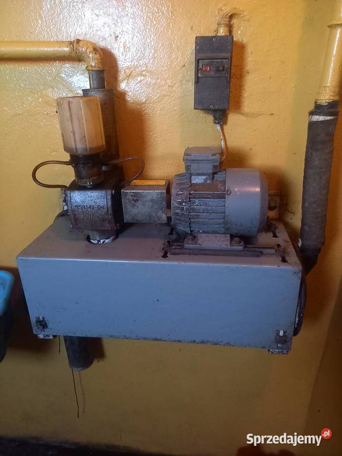 Dojarka dwukonwiowa Dębsko