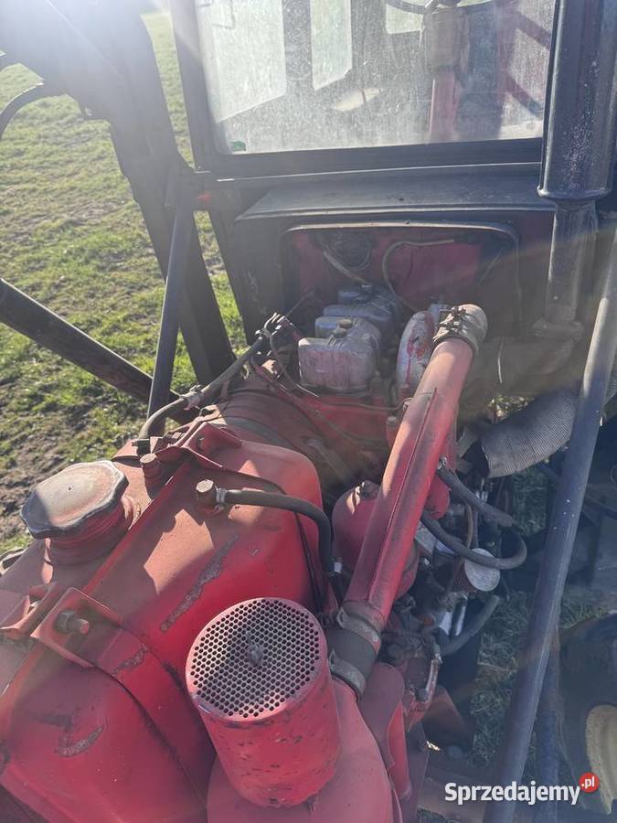 Władymirec t25 z turem Żukowo