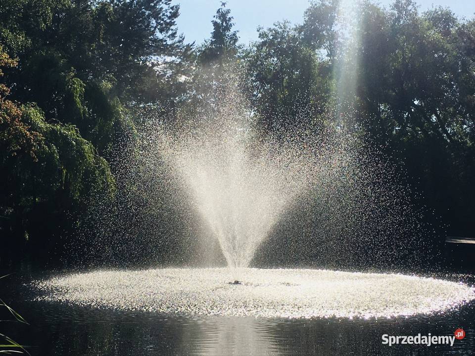 Fontanna do stawu pompa dysza fontannowa Raszyn