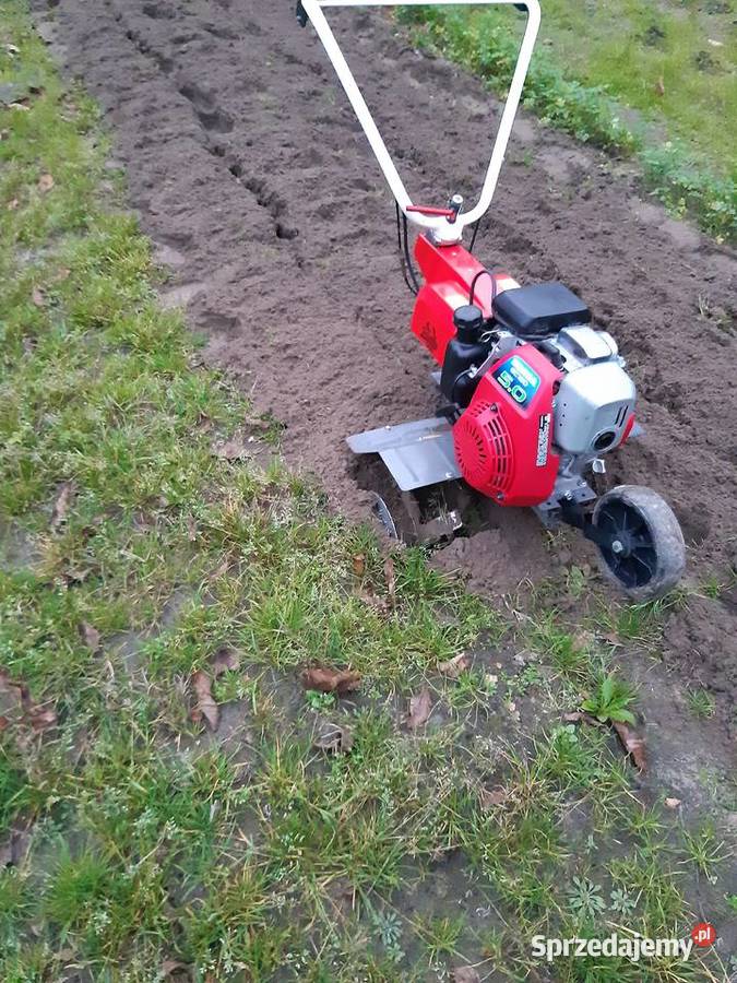 Usługi Ogrodnicze Kraśnik