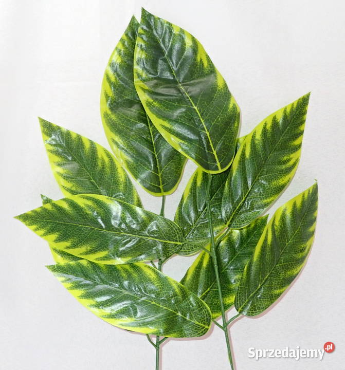 Liście ozdobne 5 na gałązce Zx1