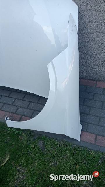 Błotnik lewy DS4 2023 Września sprzedam