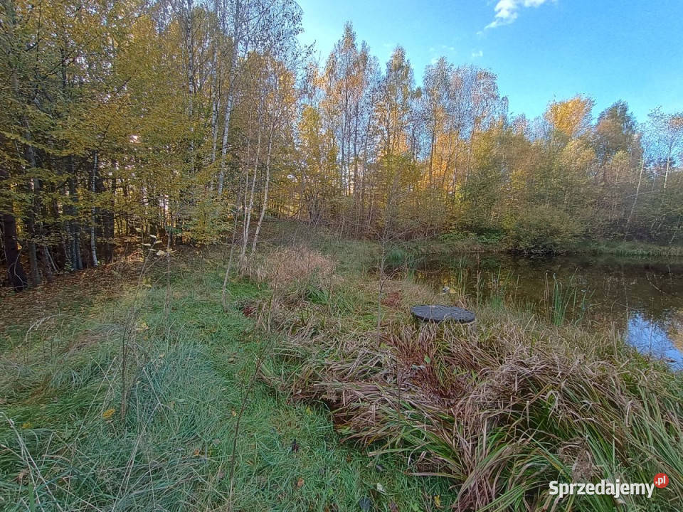 sprzedaży działki Gromadzin 3253 metry utwardzona sprzedam