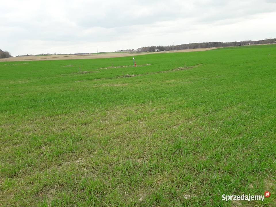 Dwie działki z warunkami zabudowy w Górze Góra sprzedam