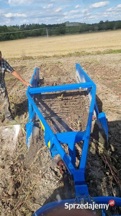 Kopaczka elewatorowa do ziemniaków Pińczów sprzedam