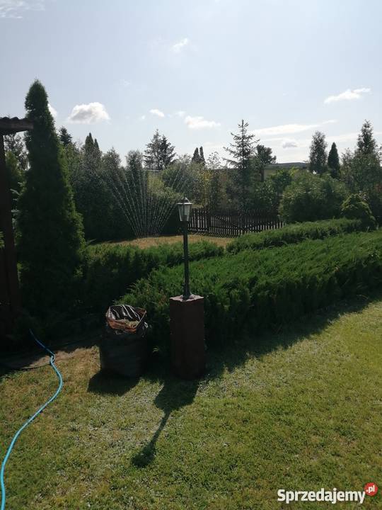 Sprzedam działkę rekracyjną ROD BRATEK Solec Kujawski