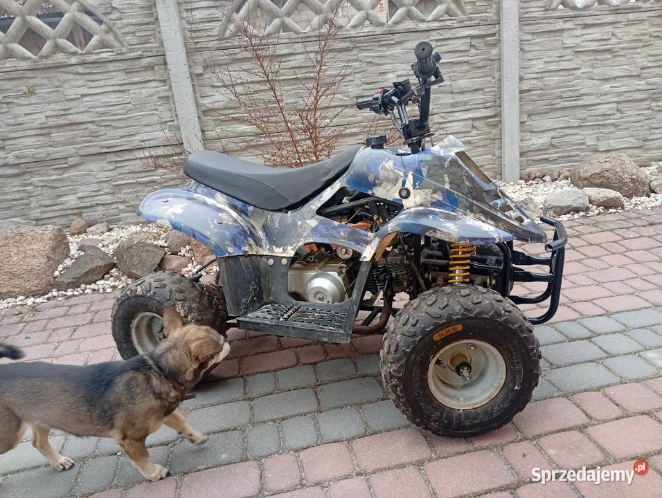 Quad 110 automat podkarpackie Żołynia