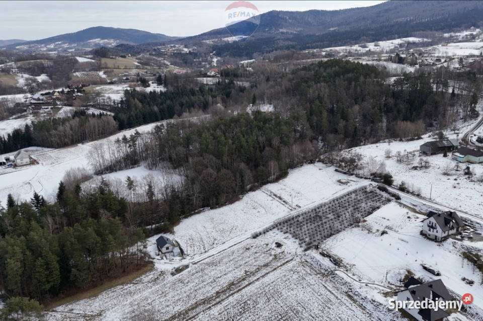 Działka budowlanorekreacyjna Kamionna 1399 ar Sprzedaż małopolskie
