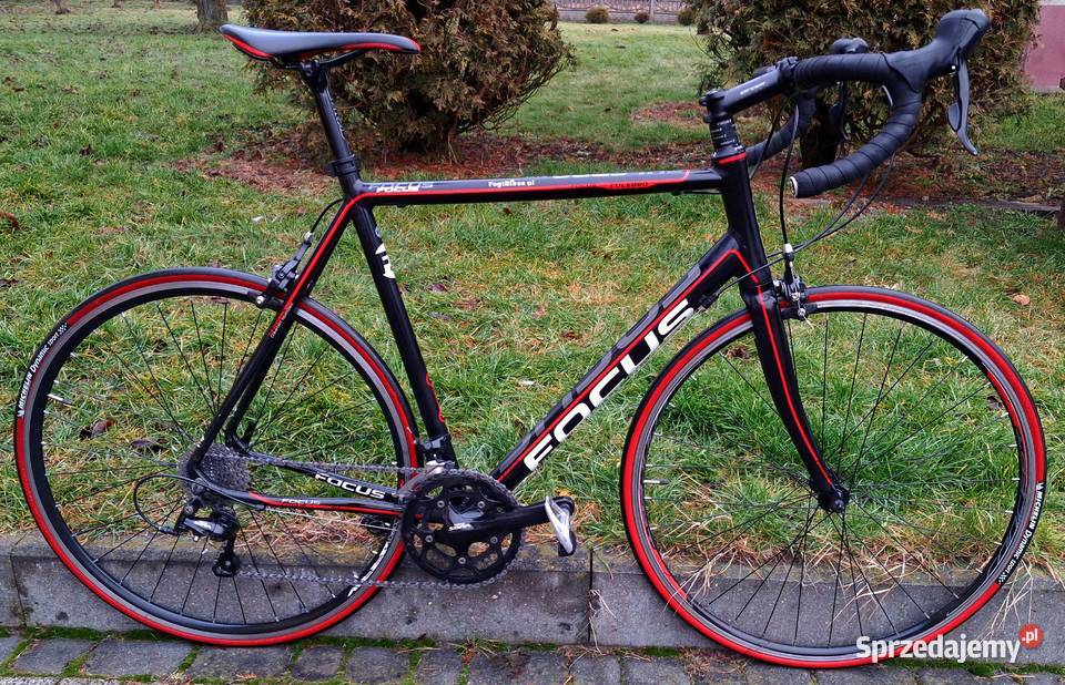 Duży rower szosowy Focus Culebro Koła 28 Shimano