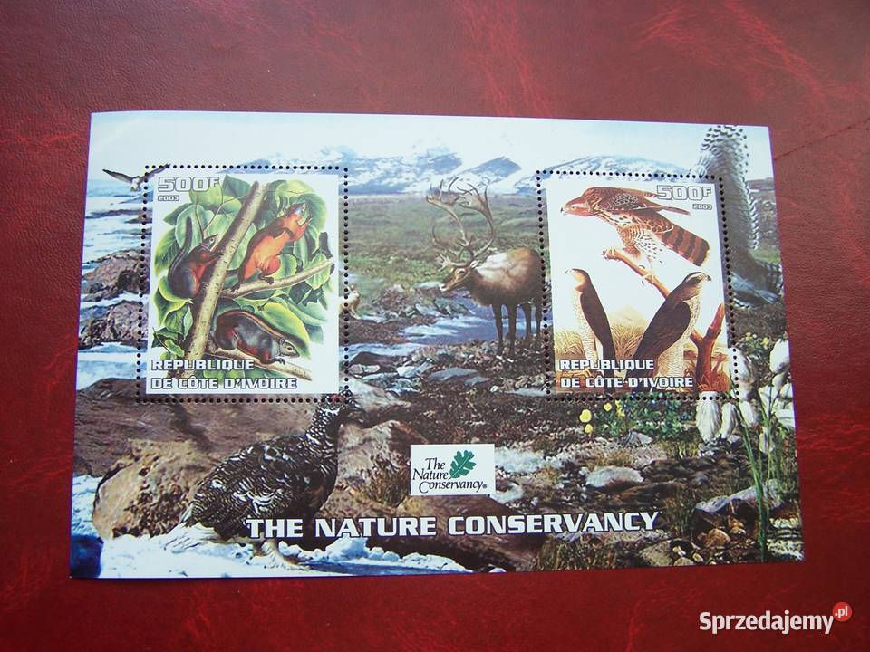 Wybrz Kości Słoniowej 2003 MNH Fauna Ptaki