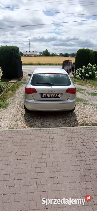 Audi A3 8P 19 TDI klimatyzacja Końskie