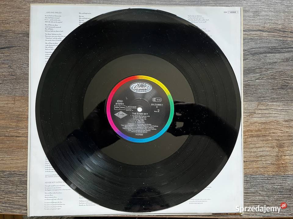 Horse The Same Sky LP 1990 Pop Rock pop śląskie Błażejowice sprzedam