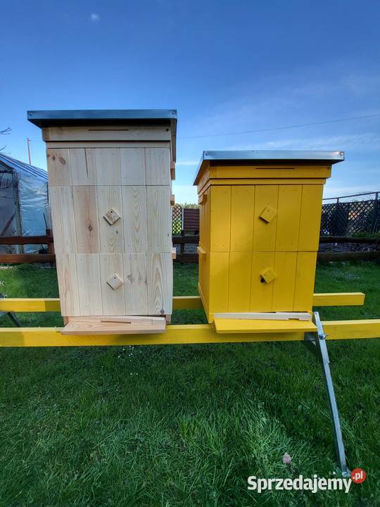 Ule wielkopolskie ule drewniane ramki