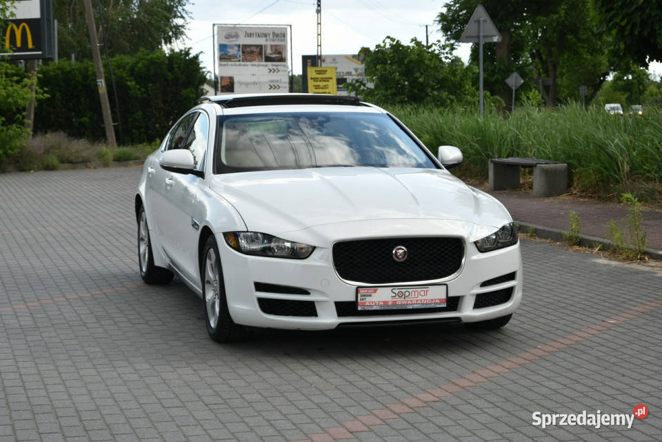 Jaguar XE 25T 20T 250 2018r Skóra Panorama I elektrycznie ustawiane fotele XE Kampinos