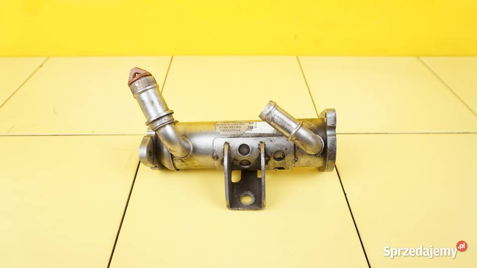 RANGE ROVER L322 36 TD V8 09r 272 chlodnica świętokrzyskie Suków