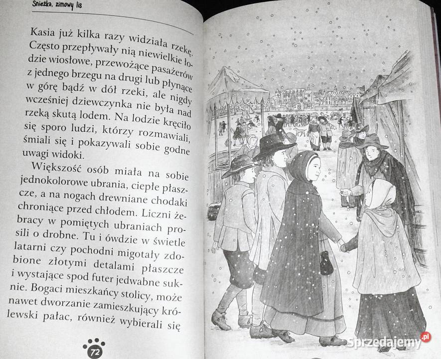 Zaopiekuj się mną Śnieżka zimowy lis Holly Webb lubelskie Chełm