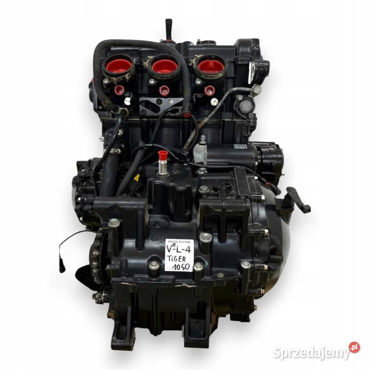 SILNIK Triumph Tiger 1050 115 20072012 engine Silniki lubelskie Chełm