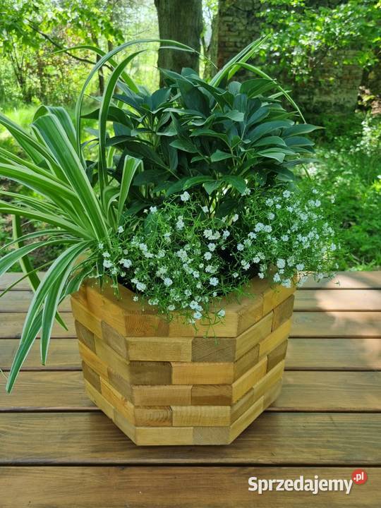 Donica drewniana sosnowa OŚMIOKĄTNA Kalety