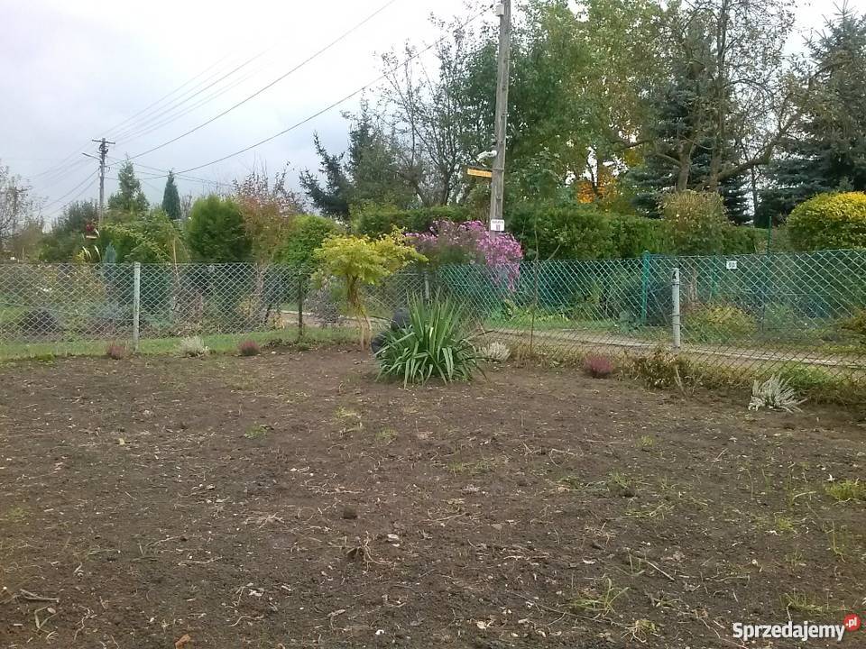 Ogródek działkowy działka ROD WISŁA z Grunty i działki
