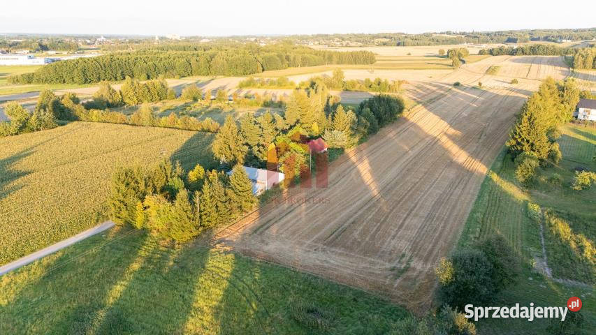 Działka 1000m Brzezówka 41m