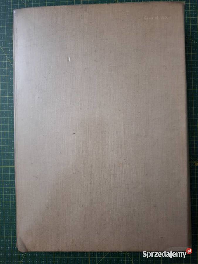 Kraków jego dzieje i sztuka Arkady