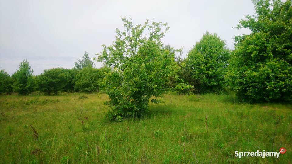 Sprzedam działkę o powierzchni 1080m2 z prawem 1072m2 mazowieckie Popielżyn-Zawady