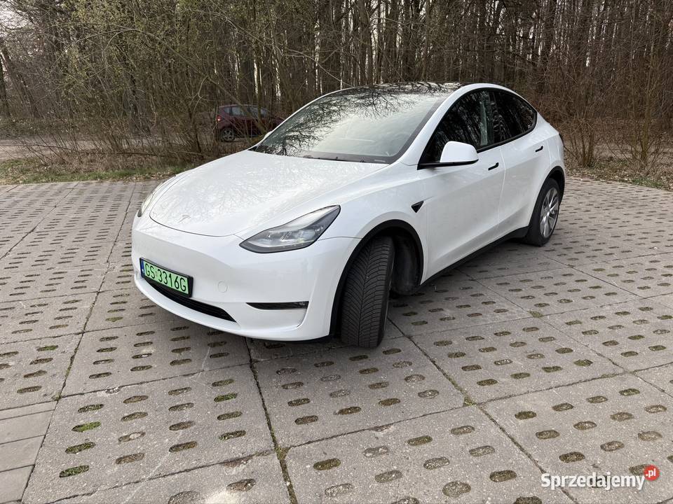 Tesla Model Y 2023 TMY DualMotor 515koni pomorskie Słupsk