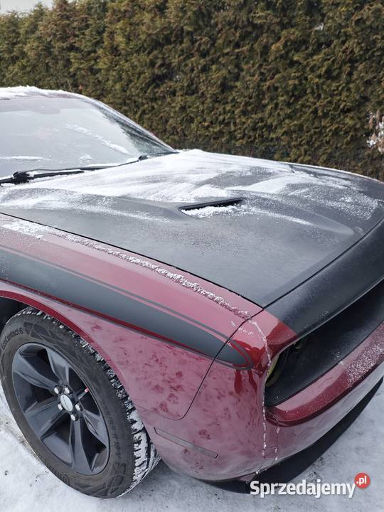 Dodge challenger v6 Rybnik