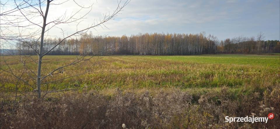 Działka bud 2600M2 Nowa Wola gm Jedlińsk