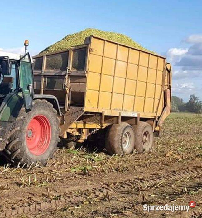Dewa przyczepa objętościowa do kukurydzy Napęd Dobrzyniewo Duże