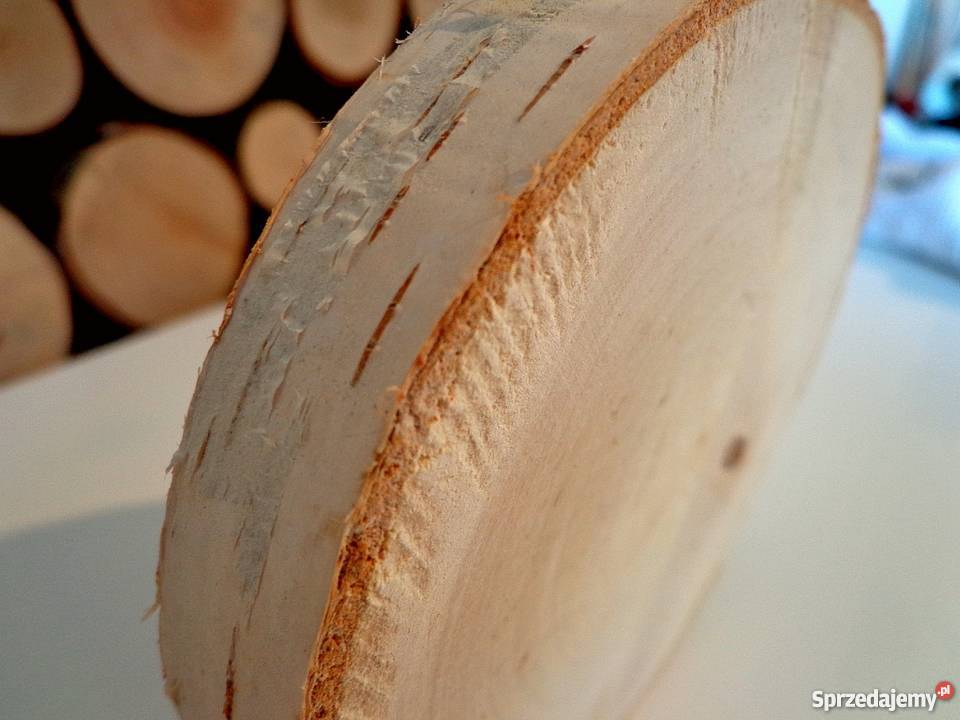 Plastry drewniane brzoza szlifowane 9 11 6sztuk Wyposażenie wnętrz Rybnik